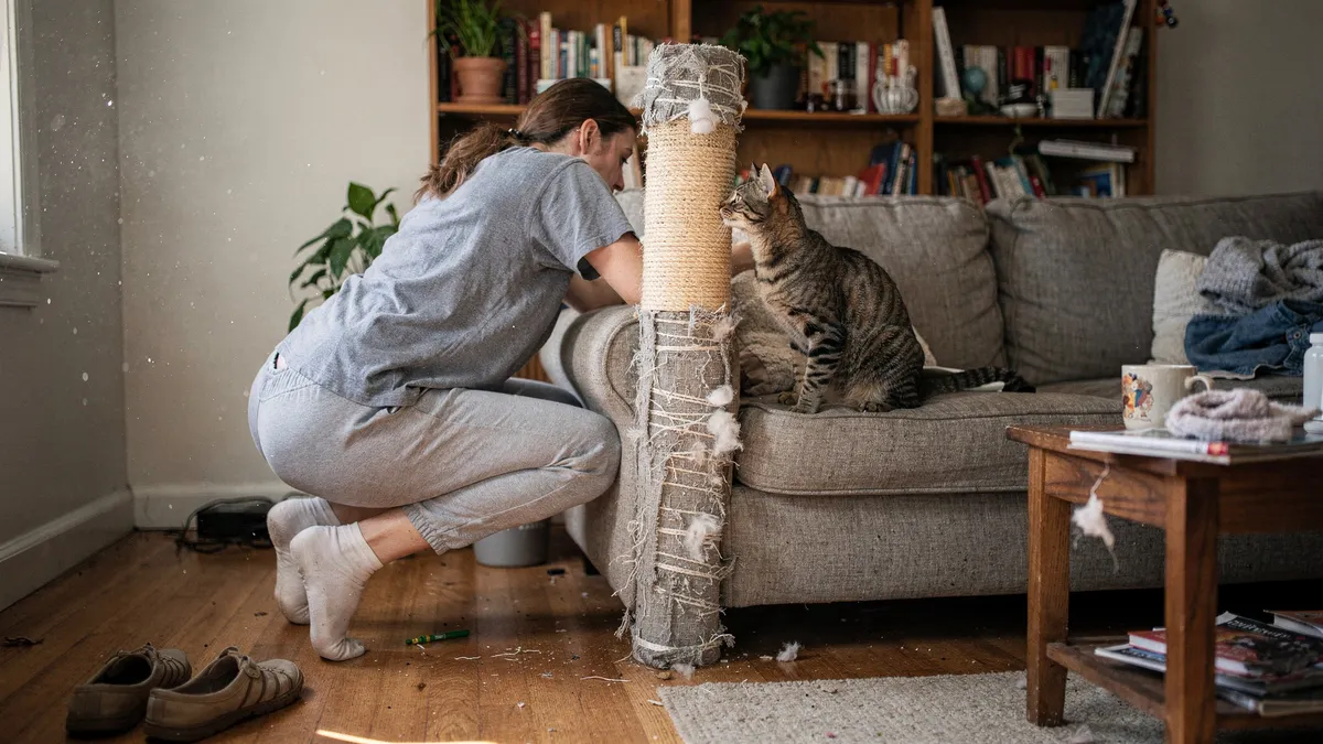 A Guide To Cat Scratching Posts for Small Living Spaces