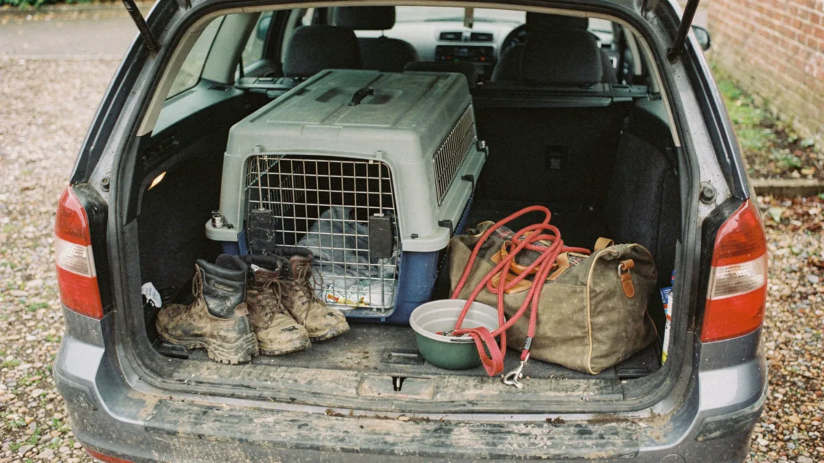 A Guide To Pet Travel Carriers for Weekend Trips